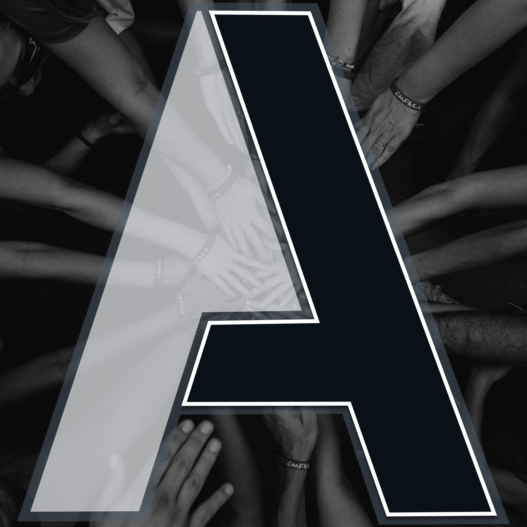 The Anayis Group Logo